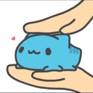 Meet your Posher, Payton